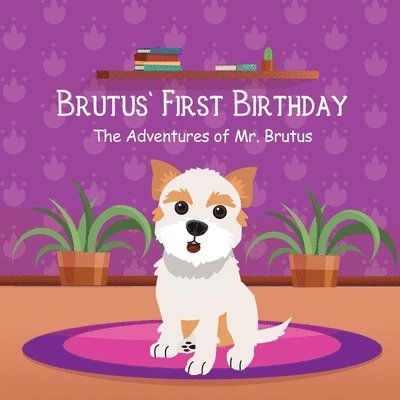 Brutus' First Birthday 1