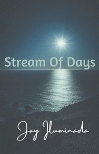 bokomslag Stream Of Days