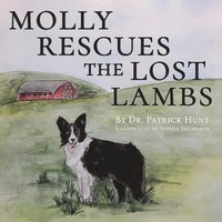 bokomslag Molly Rescues the Lost Lambs