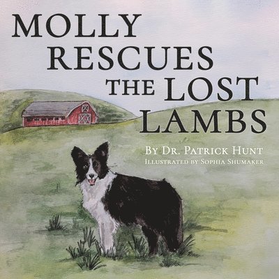 Molly Rescues the Lost Lambs 1