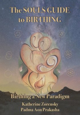 The Souls Guide to Birthing 1