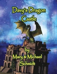 bokomslag Davy's Dragon Castle