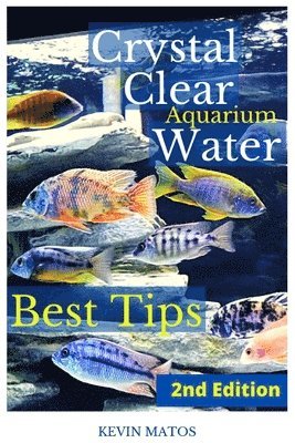 Crystal Clear Aquarium Water 1