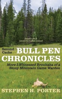 bokomslag Second Cache BULL PEN CHRONICLES