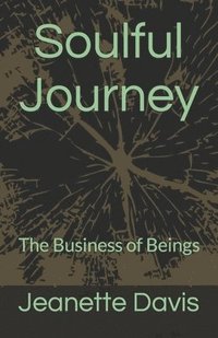bokomslag Soulful Journey