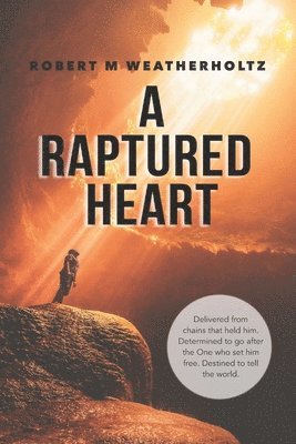 bokomslag Raptured Heart