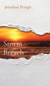 bokomslag Storm Breach