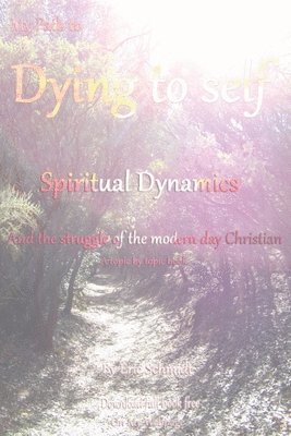 Eric Schmidt - My Path to Dying to Self, Spiritual Dynamics, and the Struggle of the Modern-day Christian, Häftad
