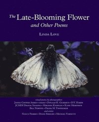 bokomslag The Late-Blooming Flower and other poems