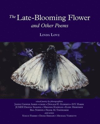bokomslag Late-Blooming Flower and other poems