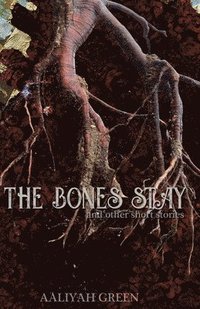 bokomslag The Bones Stay