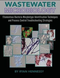 bokomslag Wastewater Microbiology, Filamentous Bacteria Morphotype Identification Techniques, and Process Control Troubleshooting Strategies