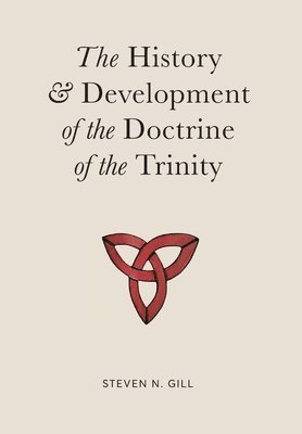 bokomslag History & Development of the Doctrine of the Trinity