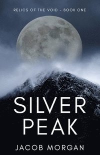 bokomslag Silver Peak