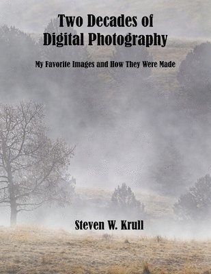 Two Decades of Digital Photography (print) 1