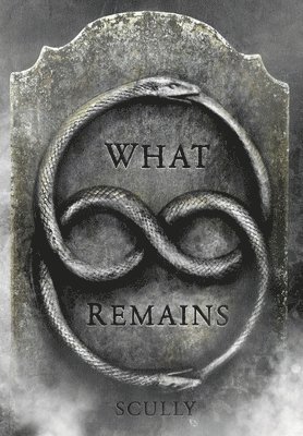 B. E. Scully, Michael Bailey - What Remains, Inbunden