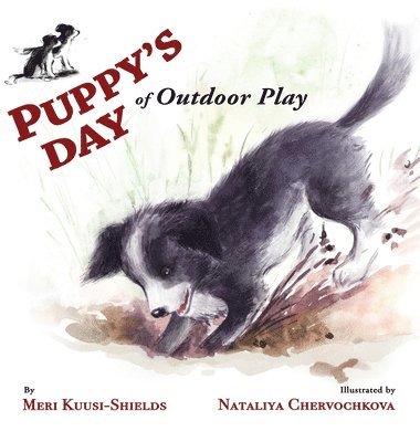 Puppy's Day of Outdoor Play 1