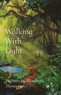 bokomslag Walking With Light