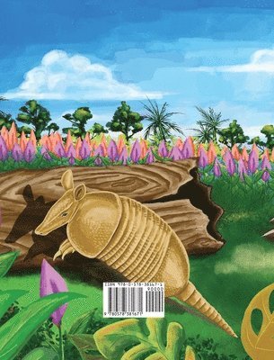 Dilly the Armadillo 1