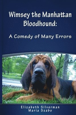 Wimsey the Manhattan Bloodhound 1