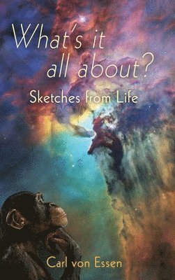 What's it all about? Sketches from Life 1