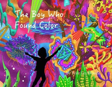 bokomslag The Boy Who Found Color