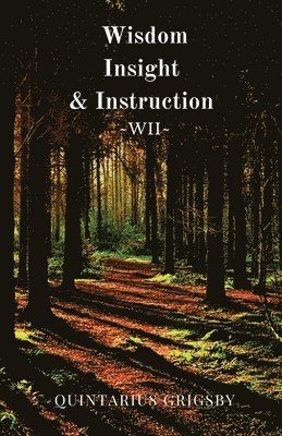 Wisdom, Insight, & Instruction 1