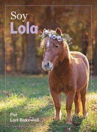 bokomslag Soy Lola