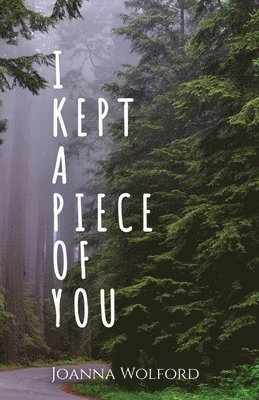 I Kept a Piece of You 1