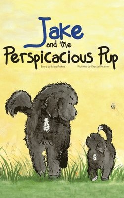 Jake and The Perspicacious Pup 1