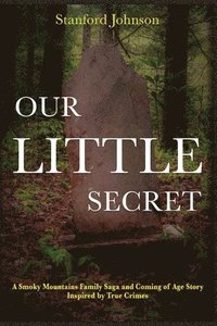 bokomslag Our LITTLE Secret