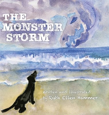 bokomslag Monster Storm