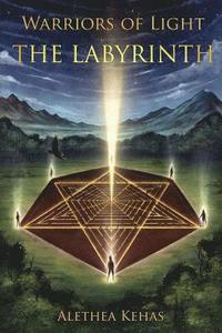 bokomslag Labyrinth