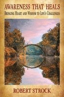 Robert J Strock, Robert J. Strock - Awareness That Heals, Häftad