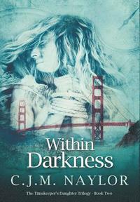 bokomslag Within Darkness