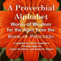 bokomslag A Proverbial Alphabet