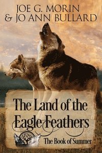 bokomslag The Land of the Eagle Feathers