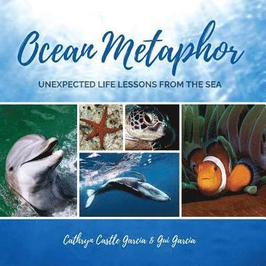 bokomslag Ocean Metaphor: Unexpected Life Lessons from the Sea