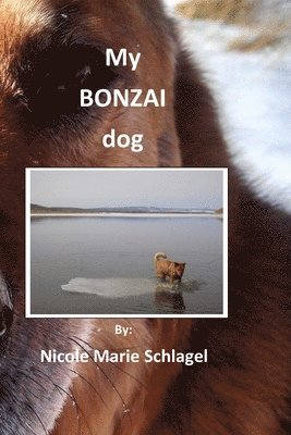 bokomslag My Bonzai Dog