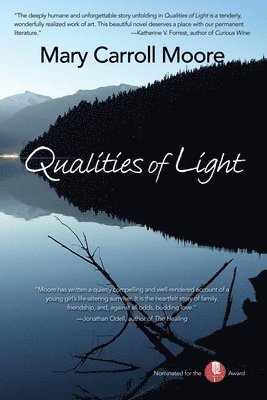 bokomslag Qualities of Light