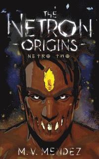 bokomslag The Netron Origins: Netro Two