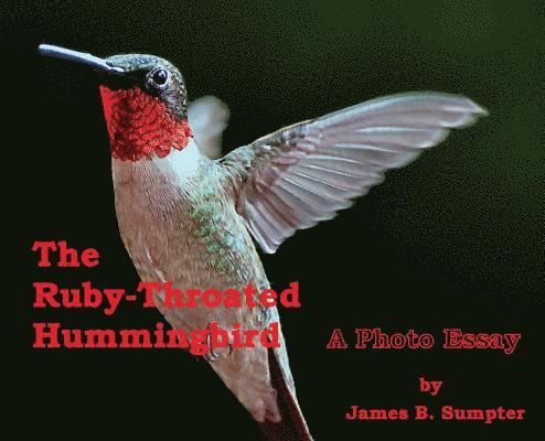 James B Sumpter, James B. Sumpter - Ruby-throated Hummingbird, Inbunden