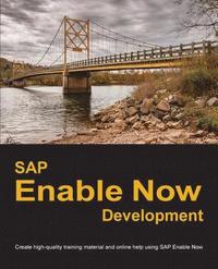 bokomslag SAP Enable Now Development