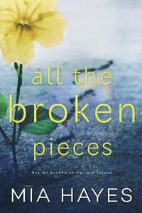 bokomslag All The Broken Pieces