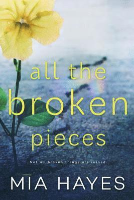 All The Broken Pieces 1