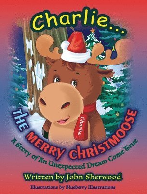 Childrens Christmas book 1