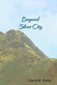 bokomslag Beyond Silver City
