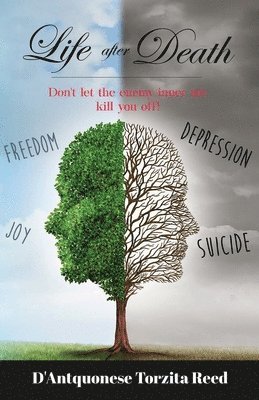 D'Antquonese Reed - Life after Death: Don't let the enemy/inner me kill you off, Häftad