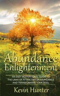 bokomslag Abundance Enlightenment