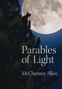 bokomslag Parables of Light